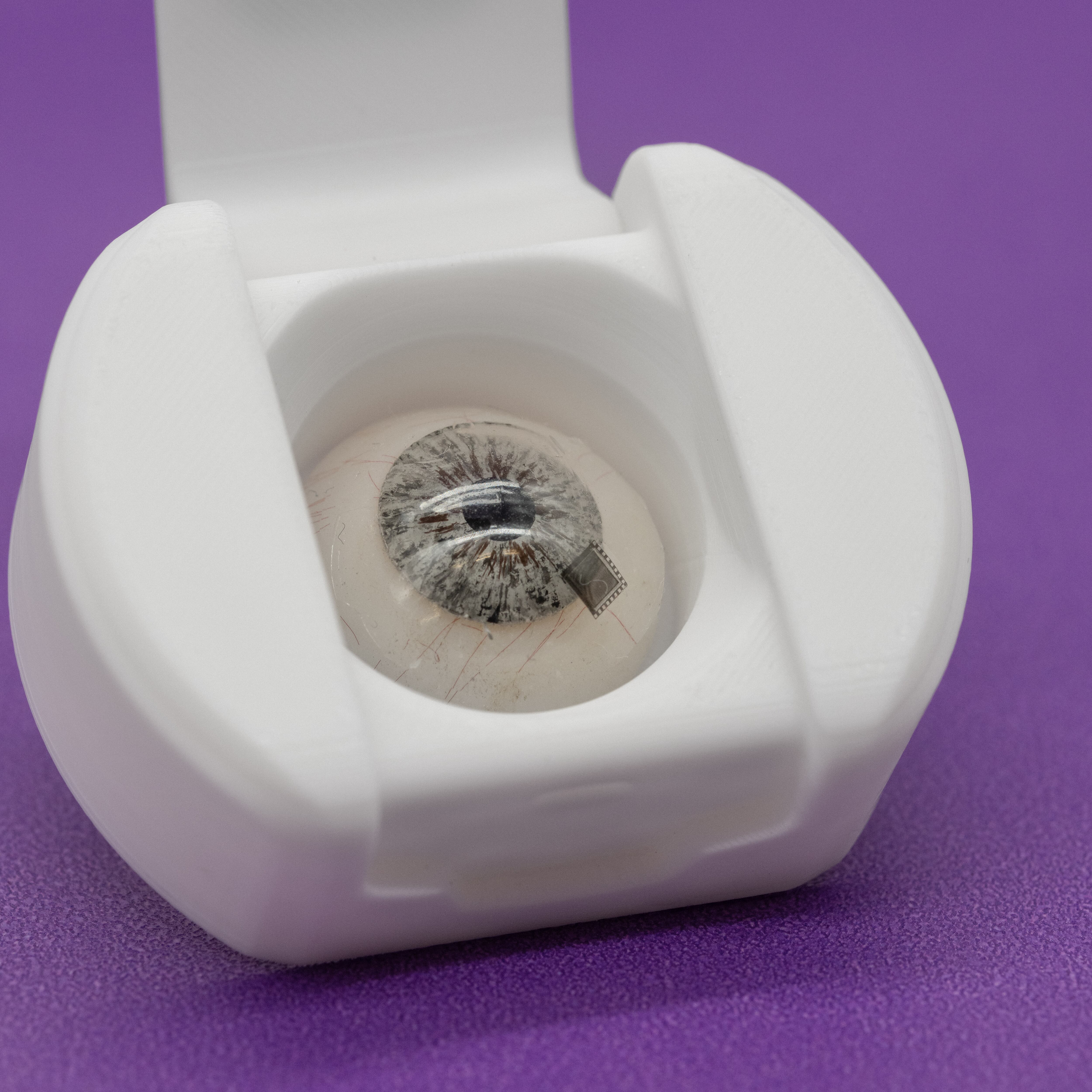 La compañía está trabajando en varios prototipos en este momento.