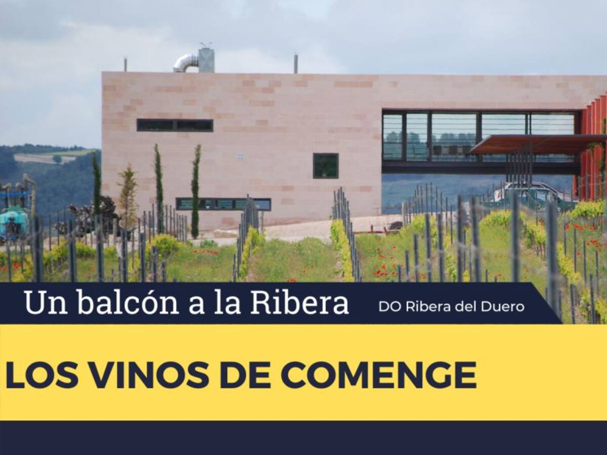 Los vinos de Comenge