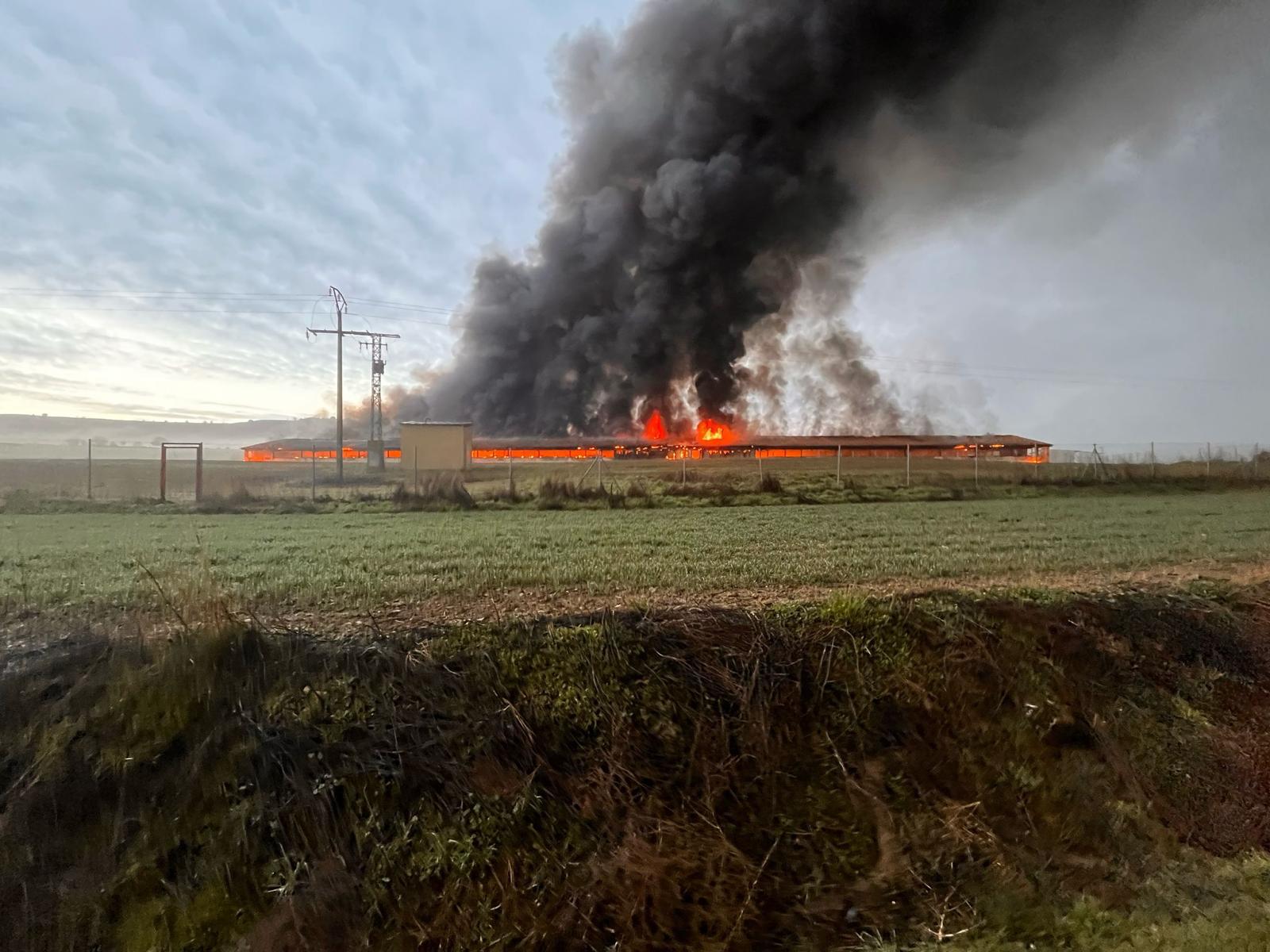 Arde una nave de producción avícola con 12.000 gallinas reproductoras en su interior en Cevico de la Torre