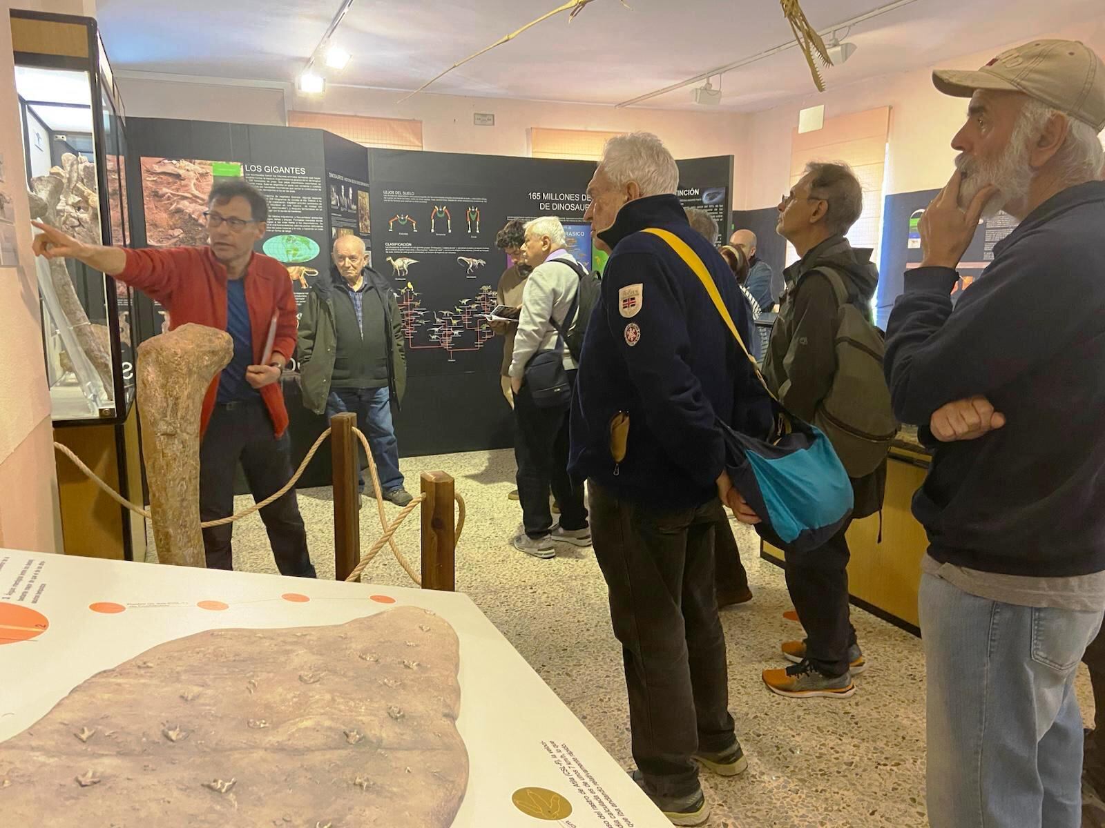 El director del Museo de Salas de los Infantes, Fidel Torcida, explica a los científicos del congreso PALA-DINO, los hallazgos de dinosaurios en Burgos