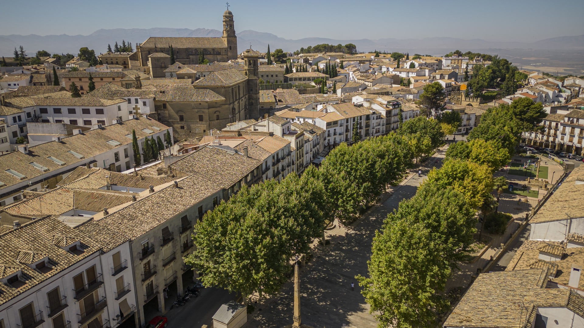 Vista aérea del Paseo de la Constitución de la ciudad de Baeza.