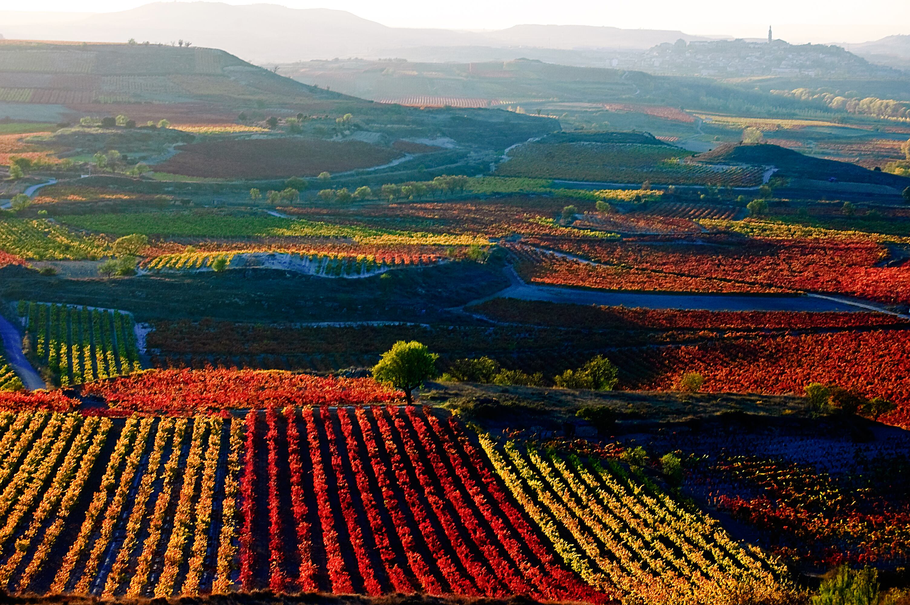 Paisaje riojano