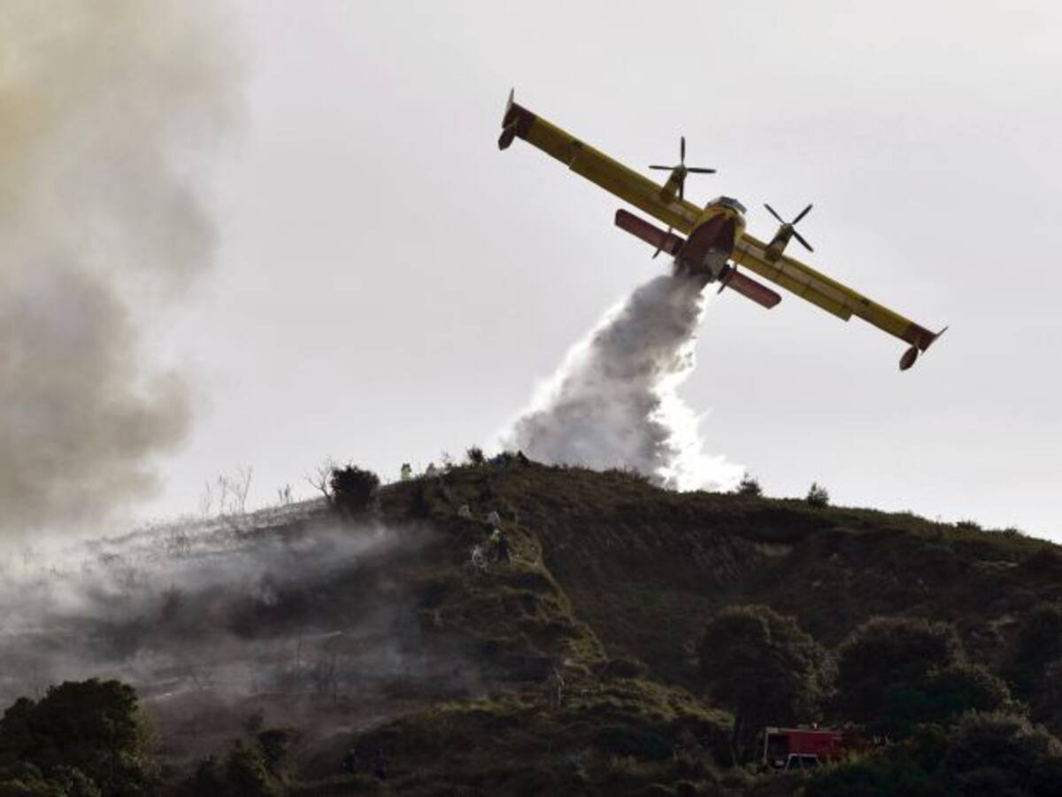 El bosque de Berango tardará diez años en recuperarse