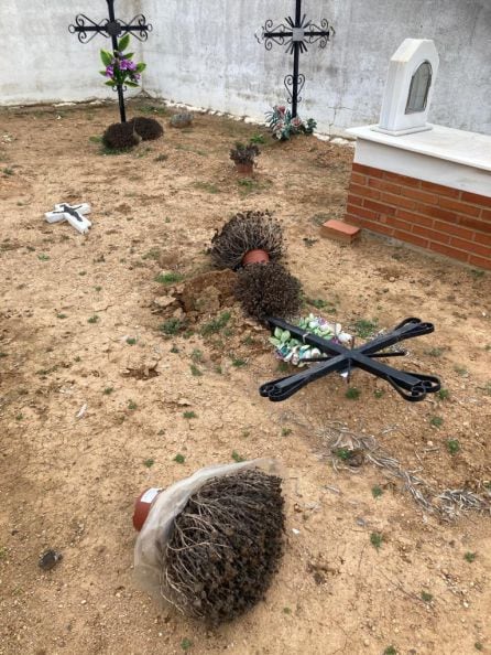 Destrozos en el cementerio