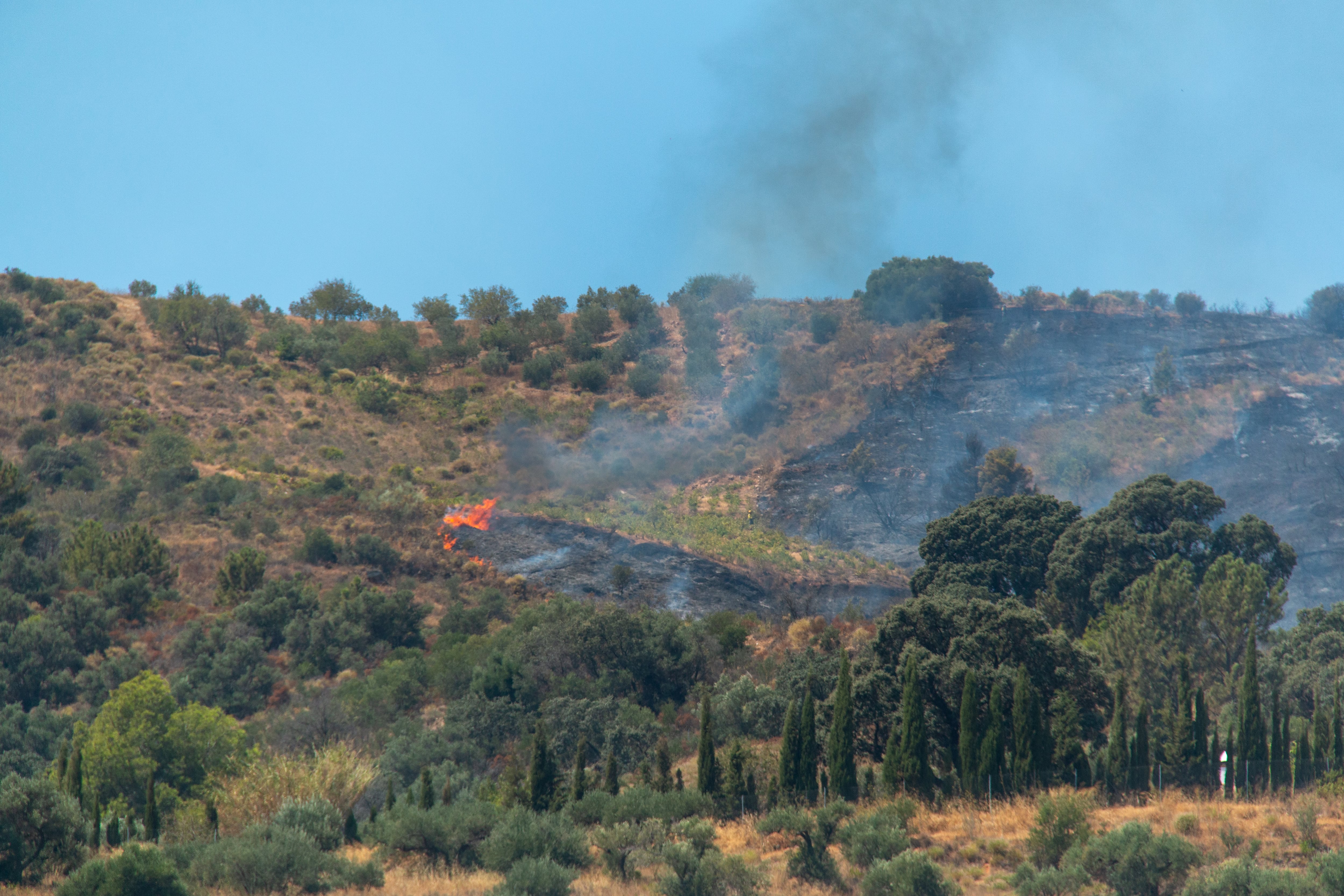 -FOTODELDÍA- ALMUÑECAR (GRANADA), 14/08/2024.- El Plan Infoca ha reforzado su actuación contra el incendio forestal declarado este martes en Almuñécar (Granada) con hasta quince medios aéreos y más de un centenar de bomberos forestales, un fuego marcado por fuertes rachas de viento y una orografía compleja con cortijos y viviendas diseminadas. EFE/Alba Feixas
