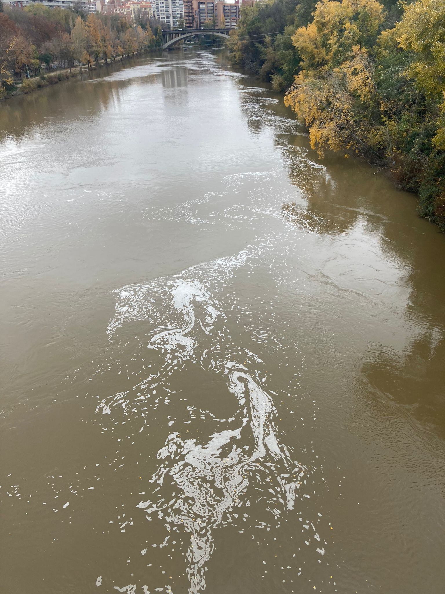 Espuma en la superficie del río Pisuerga a su paso por Valladolid