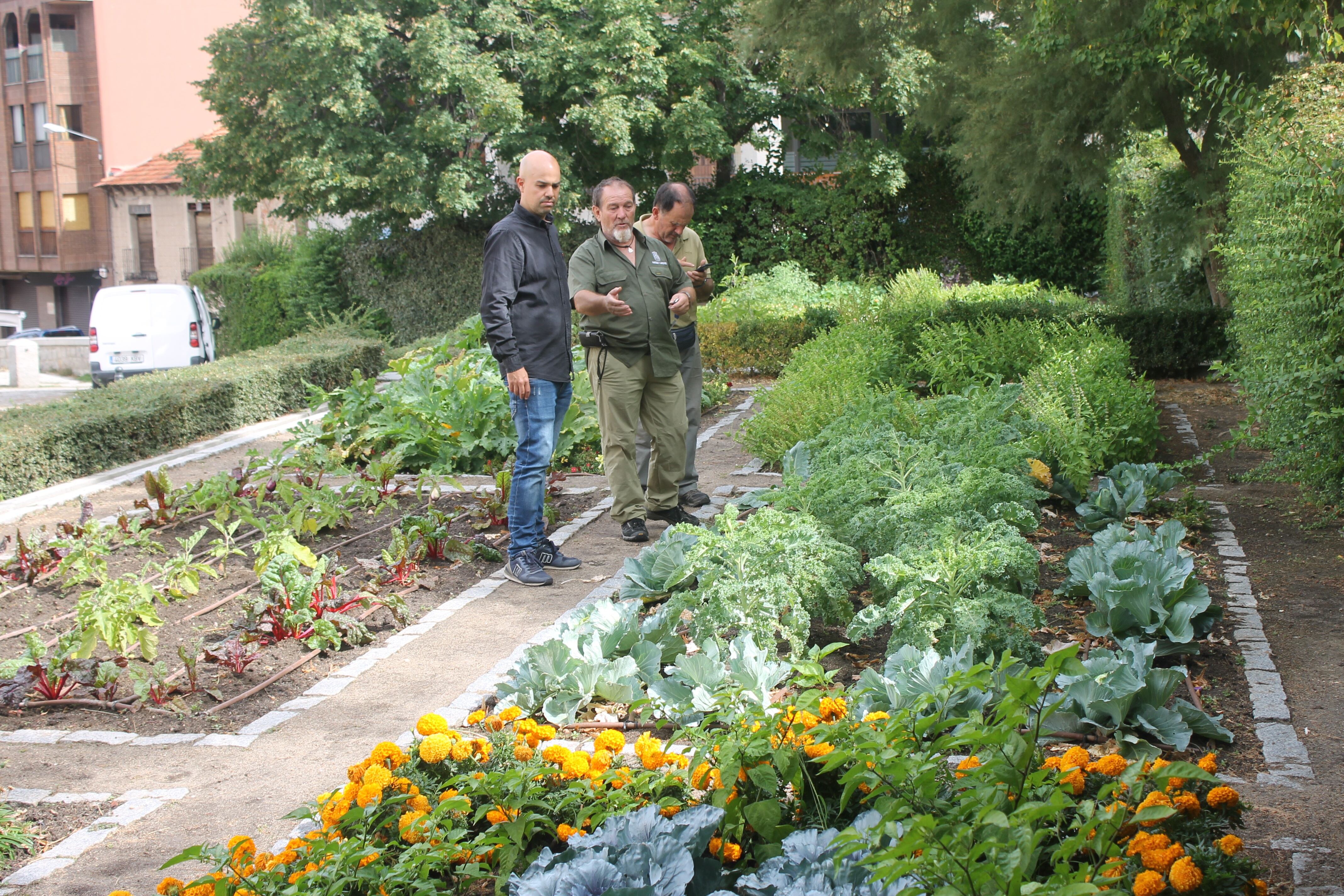 El Ayuntamiento de Segovia crea nuevos jardines hortícolas en la Avenida del Acueducto y el Jardín Botánico