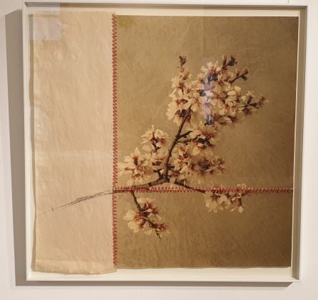 "La herida que no cesa" obra de Mayte Oliver