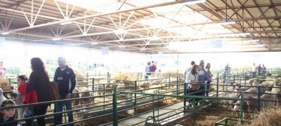 Feria Agroganadera Trujillo