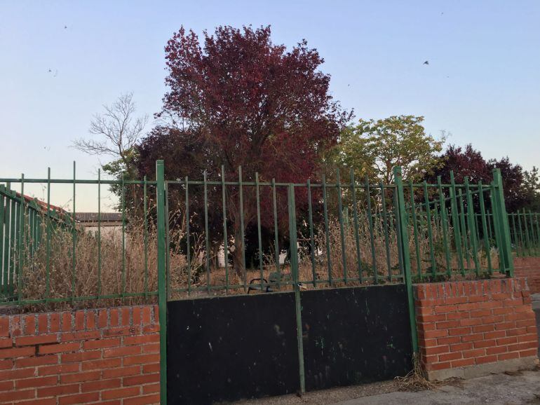 Parque infaltil de Osorno ayer