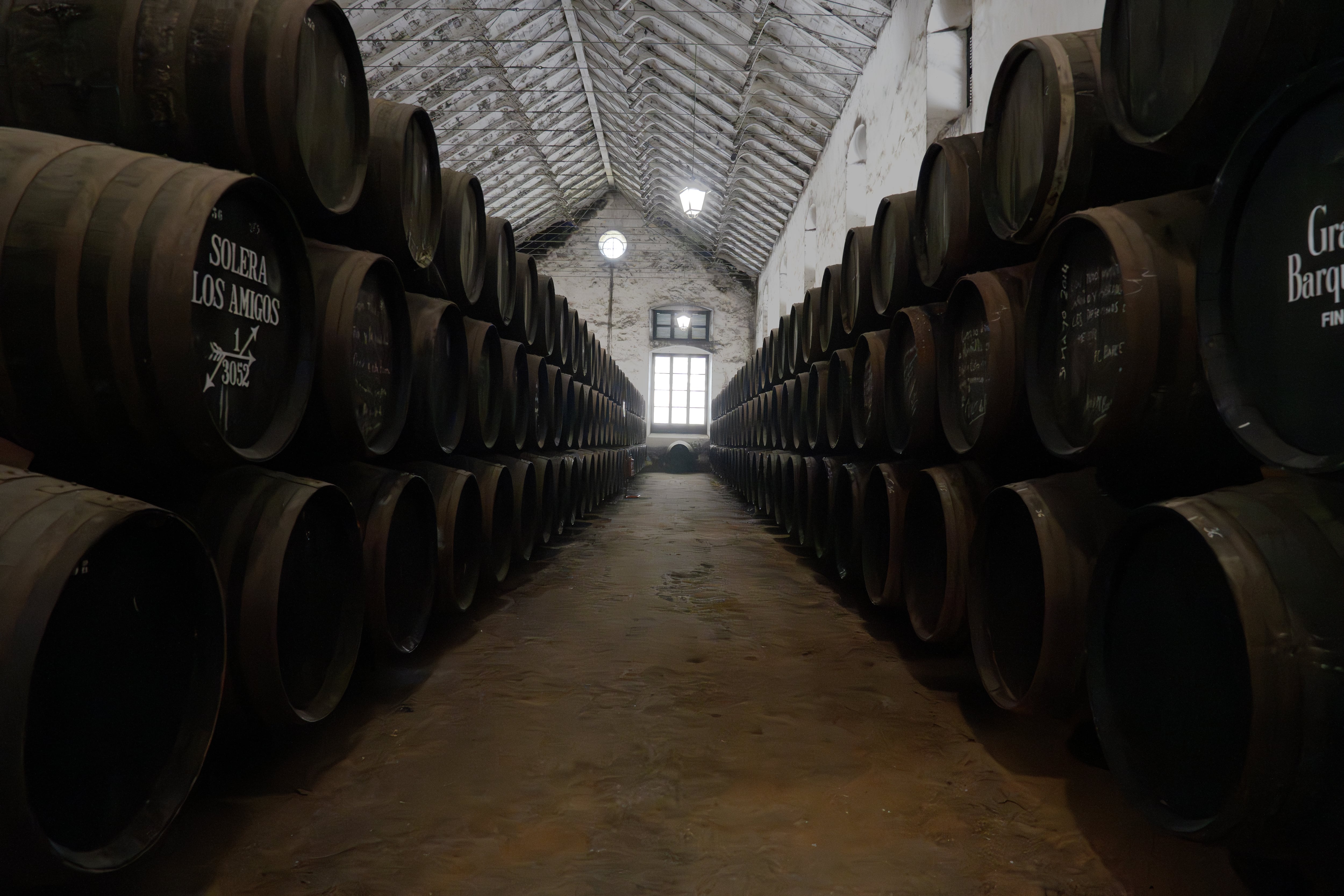 Bodega en Montilla (Ruta del Vino)