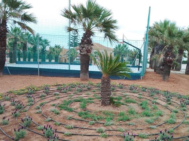 Cabo de Palos y el litoral de Cartagena se transforman con un paisaje más verde y eficiente