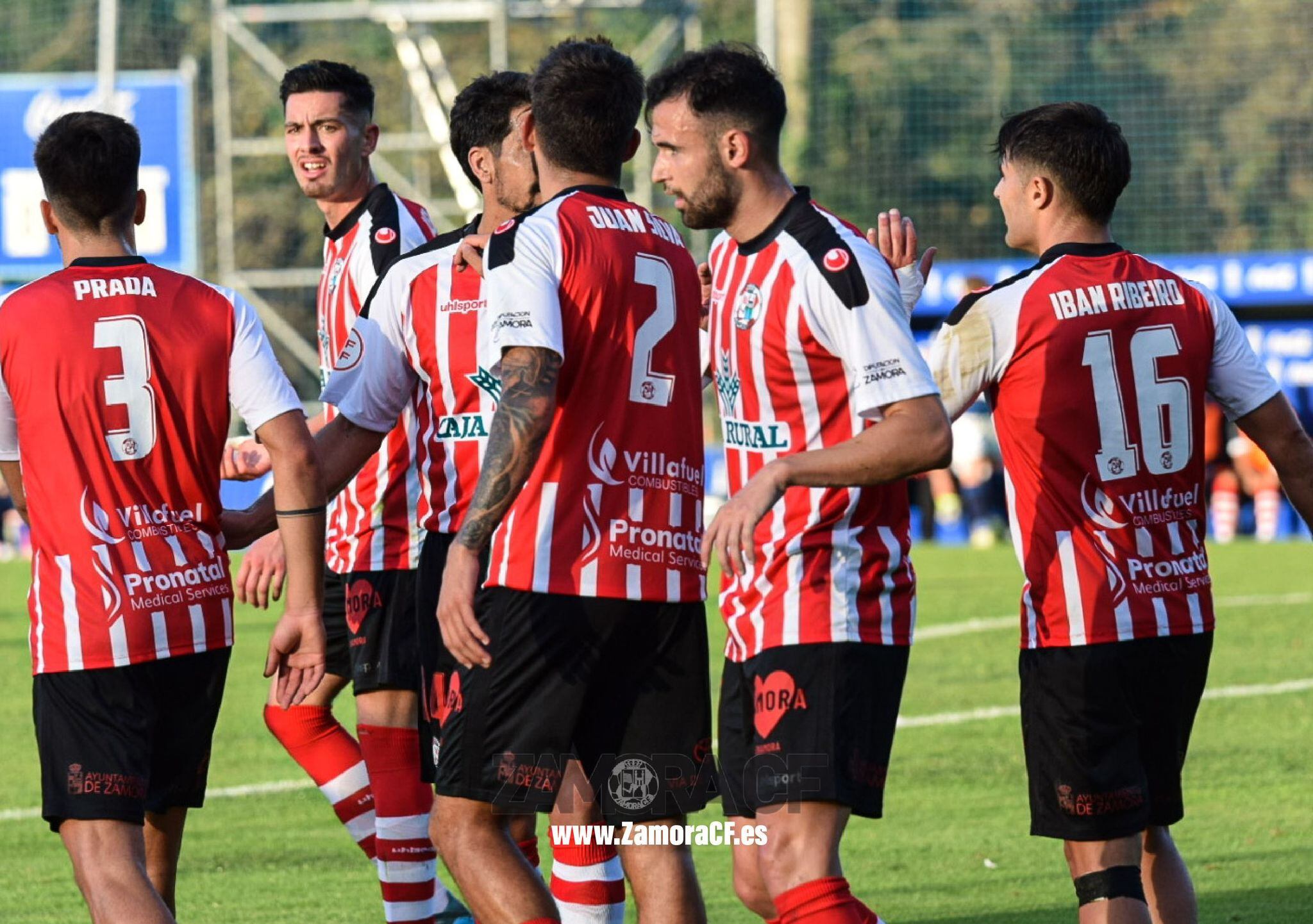 Los jugadores del Zamora CF celebran un gol