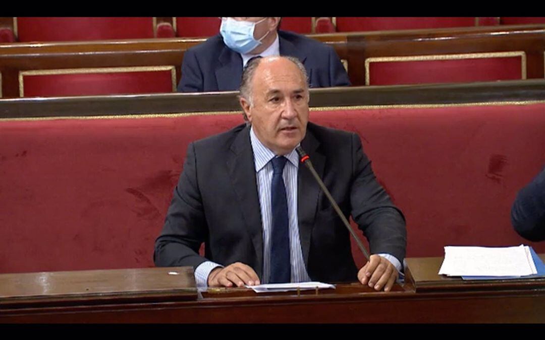 Landaluce durante una invervención en el Senado.