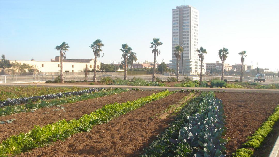 Huerto urbano de València (archivo)