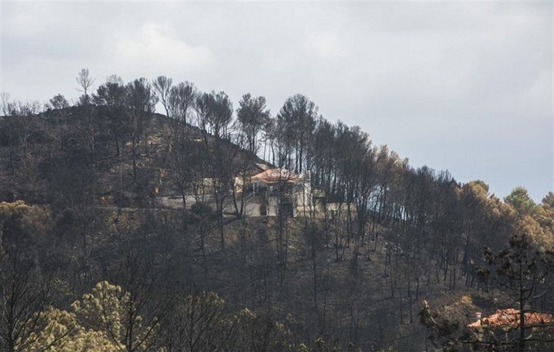 Fotografía del incendio de Marxuquera. 