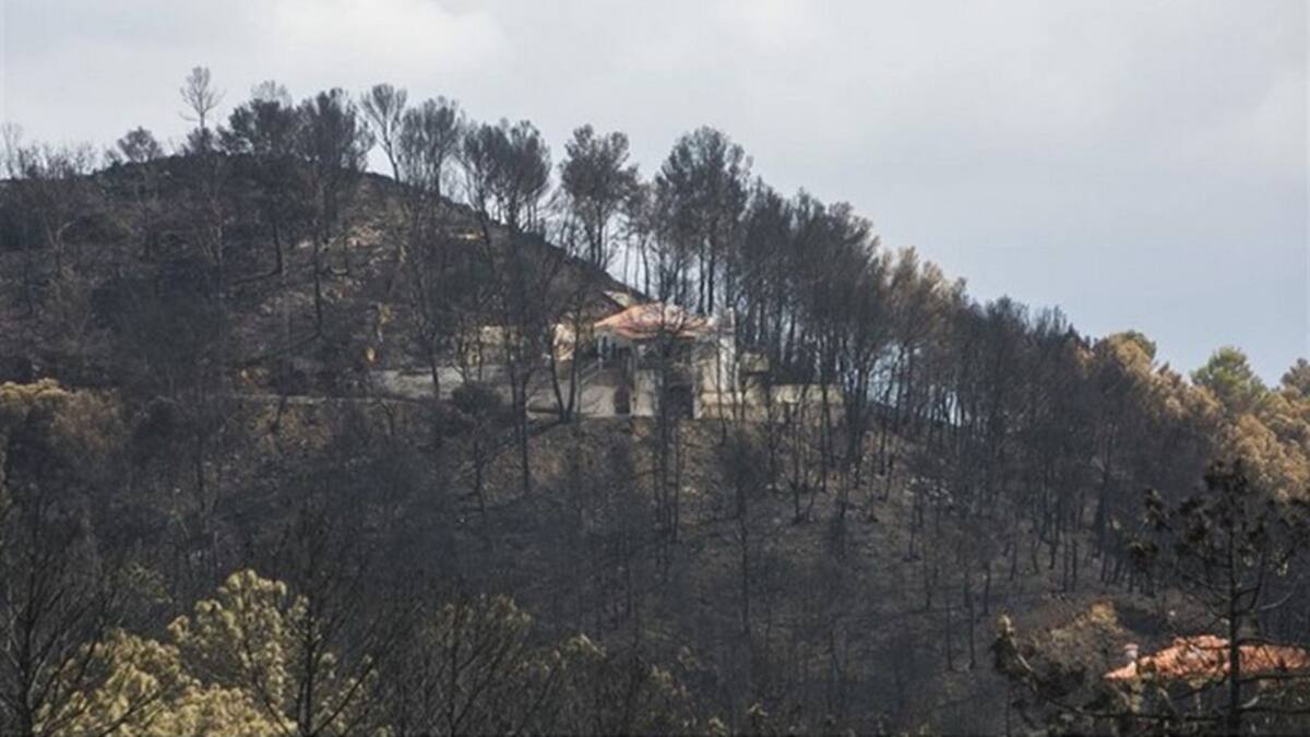 El PP de Gandia pide información sobre el Plan Local de Prevención de Incendios Forestales
