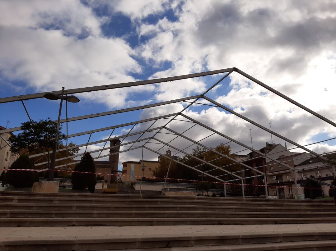 Obras de instalación de la &quot;macrocarpa&quot;, en la Plaza del Ayuntamiento.