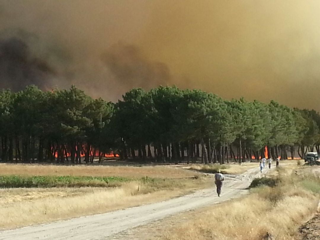 Imagen de archivo de un incendio ocurrido en la provincia de Segovia 