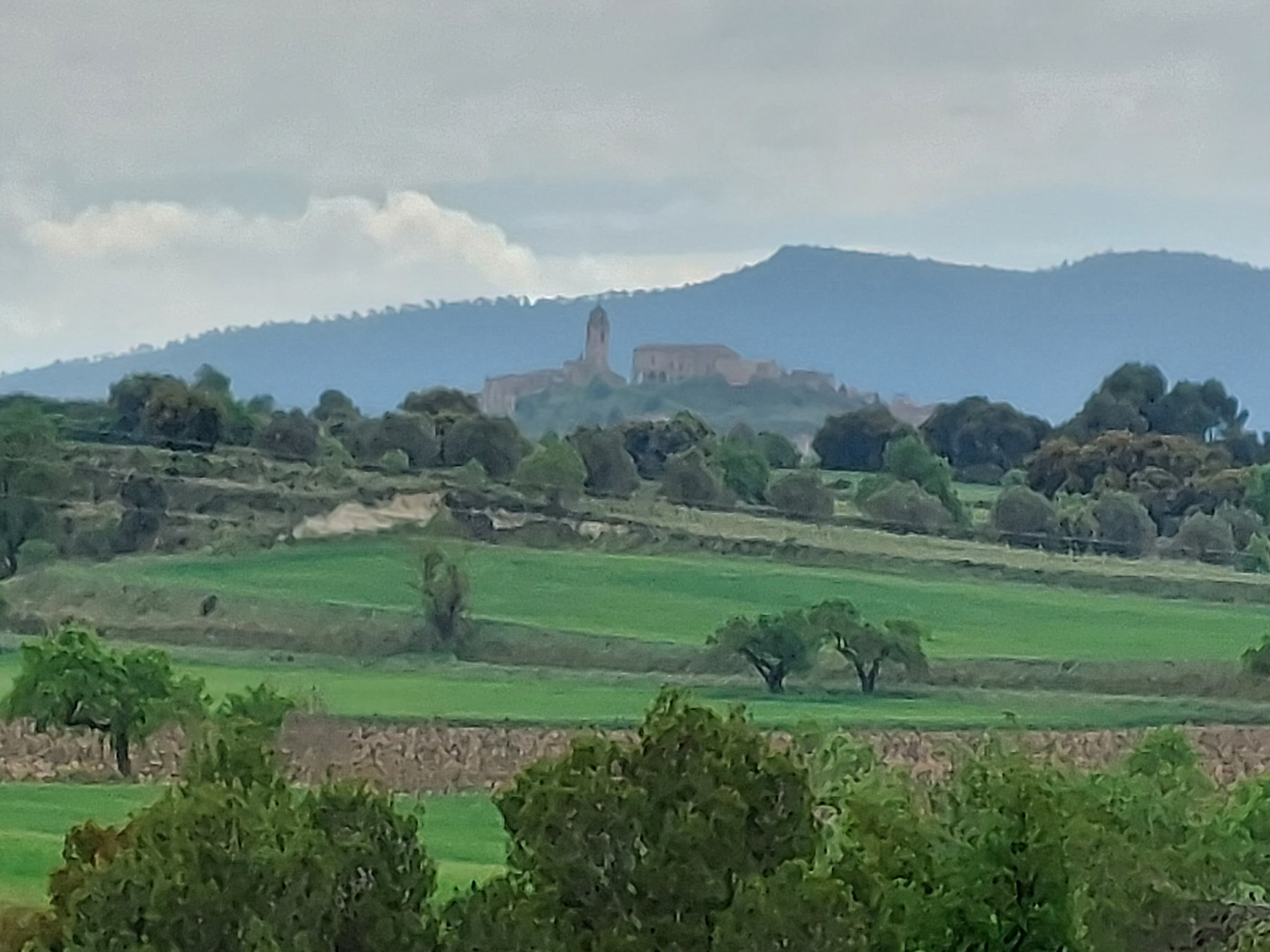 Paisaje desde un viñedo de la Conca de Barberá