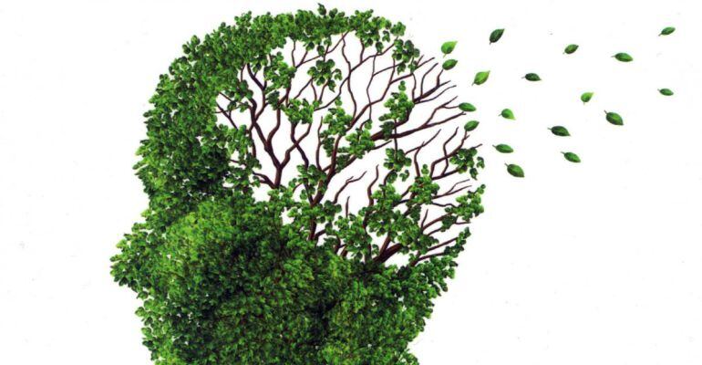 Federació d'Associacions de Familiars de Malalts d'Alzheimer de Catalunya