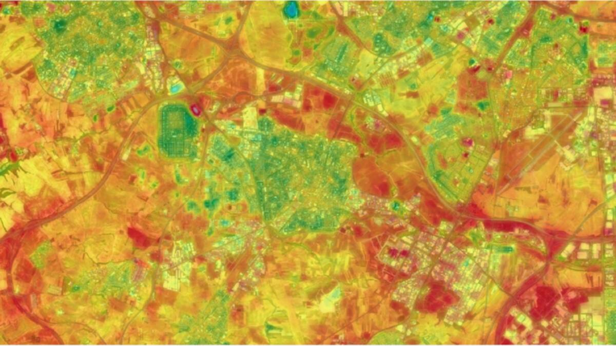 Hablamos con Felipe Pinel, concejal de Medio Ambiente de Fuenlabrada