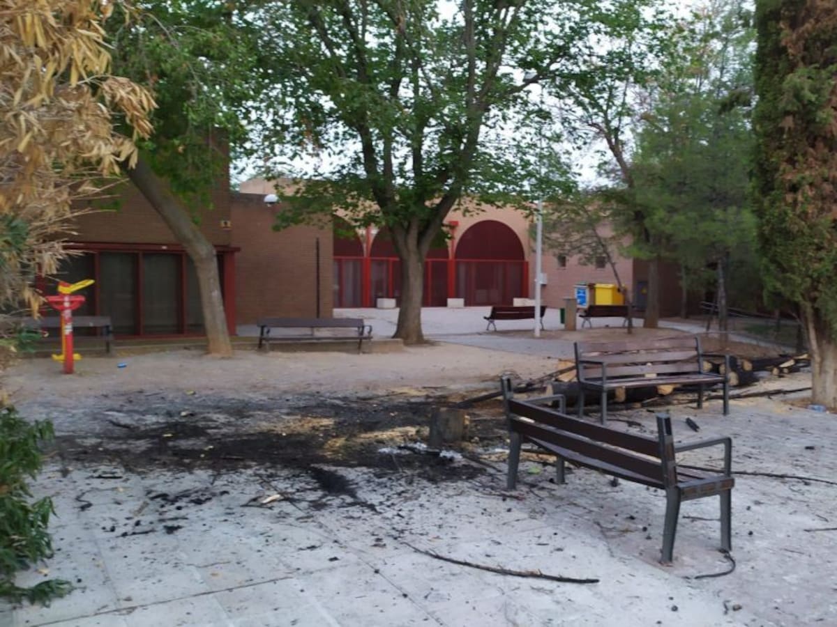 El pirómano del Polígono ha vuelto a actuar e incendia otro árbol