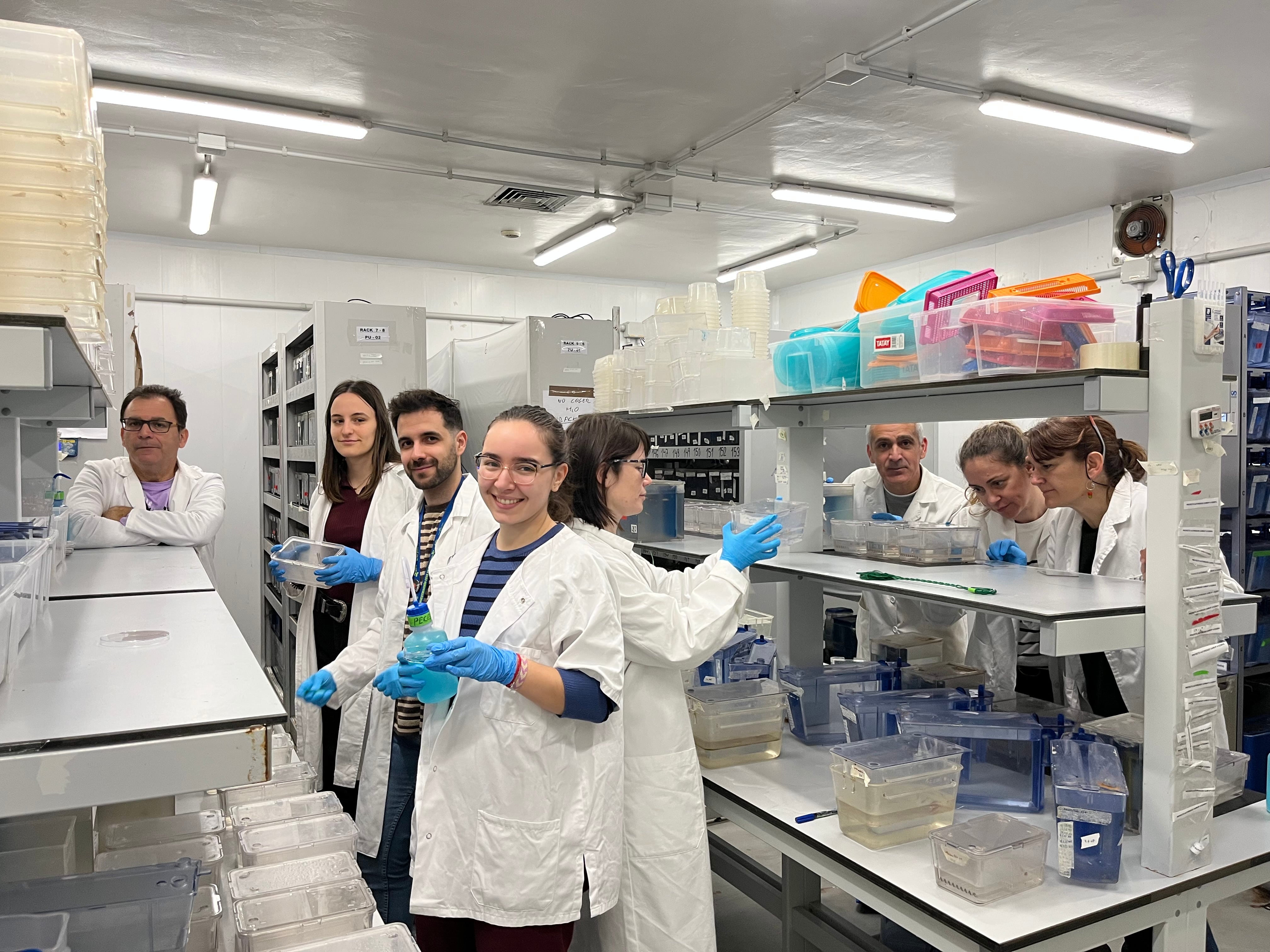 Investigadores de la UMU