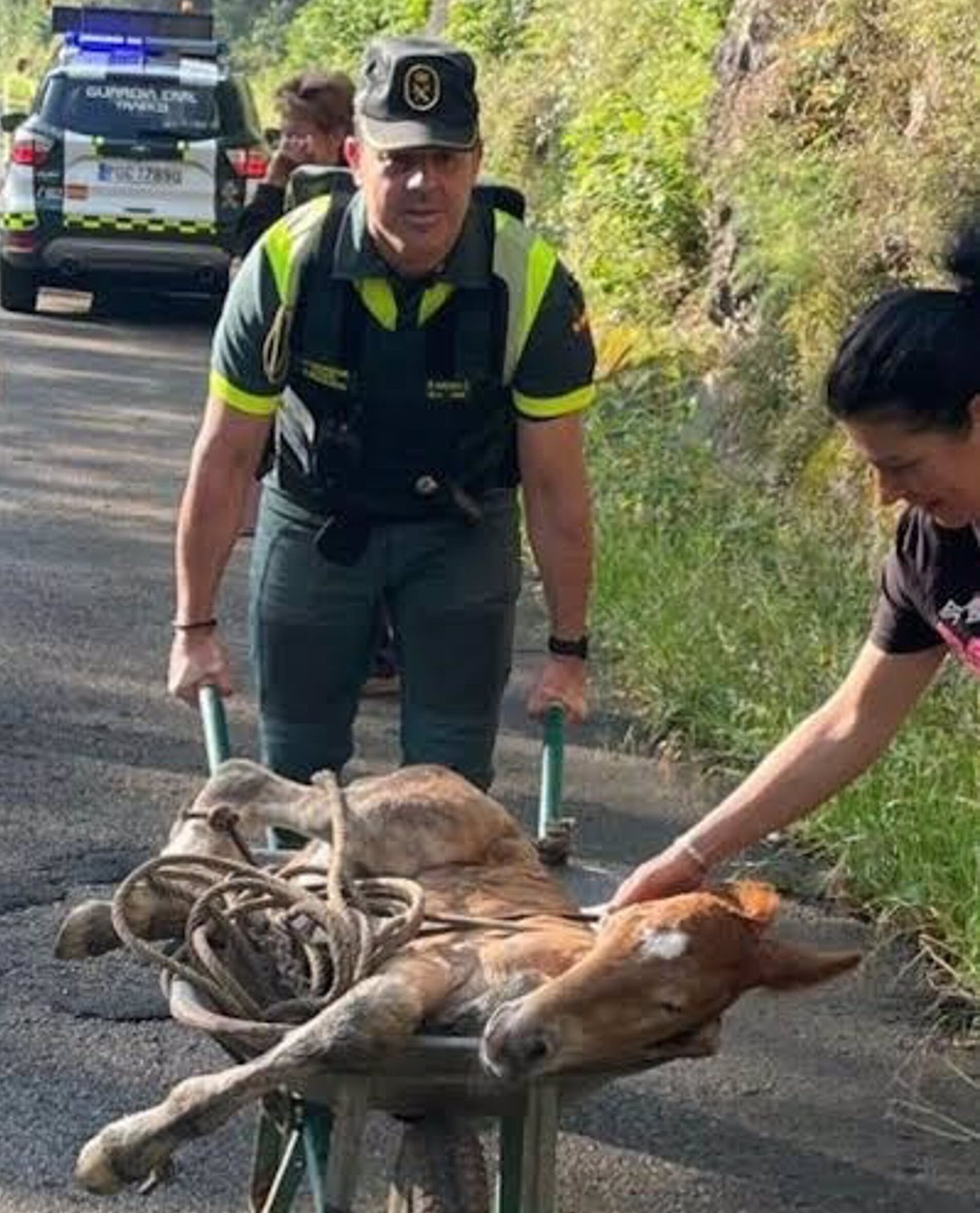 La Guardia Civil, tras el rescate de &#039;Benemérito&#039;.