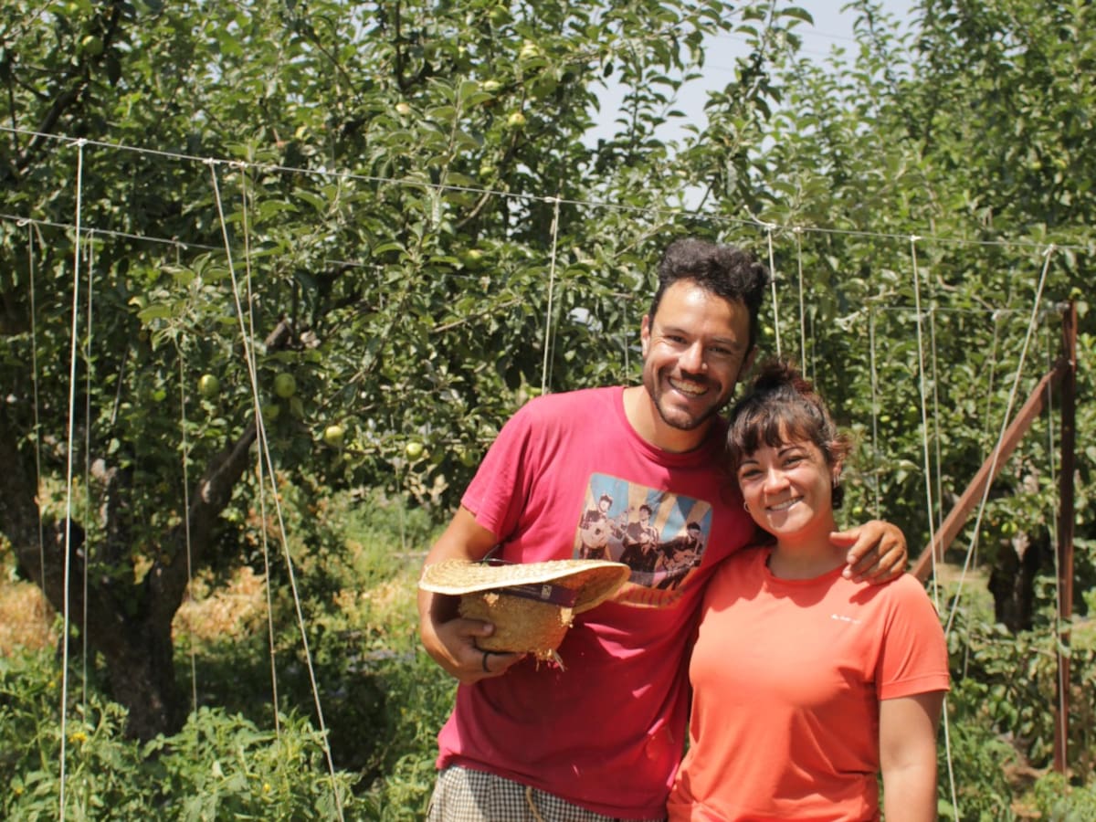 Amor de Huerta: sembrar inclusión, cosechar dignidad