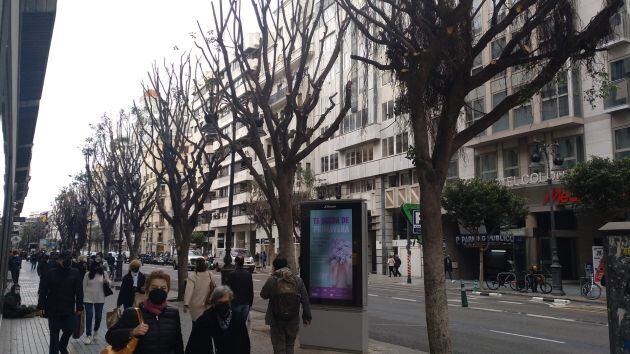 Calle Colón de València