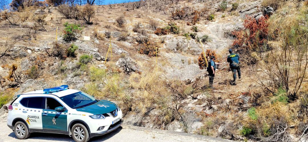 La Guardia Civil investiga cómo se produjo el incendio de Cambil.