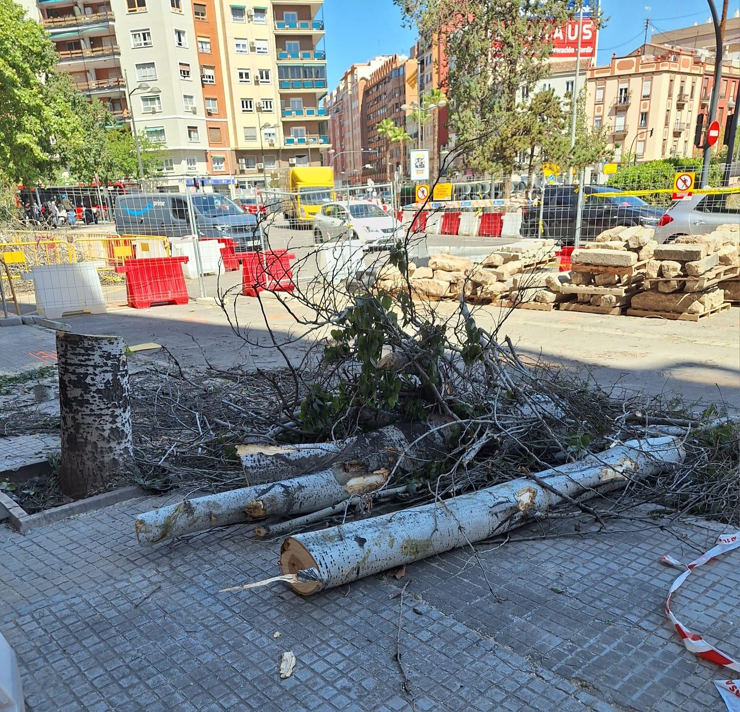 La Asociación Vecinal de Patraix pide información sobre la tala de árboles en la zona