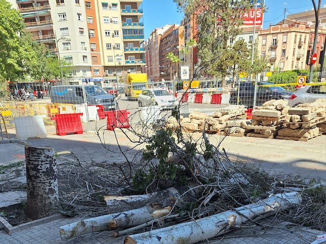 La Asociación Vecinal de Patraix pide información sobre la tala de árboles en la zona