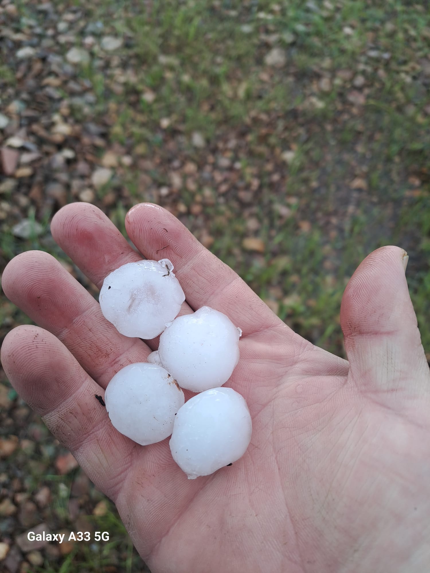 Piedras de granizo caídas en Malagón