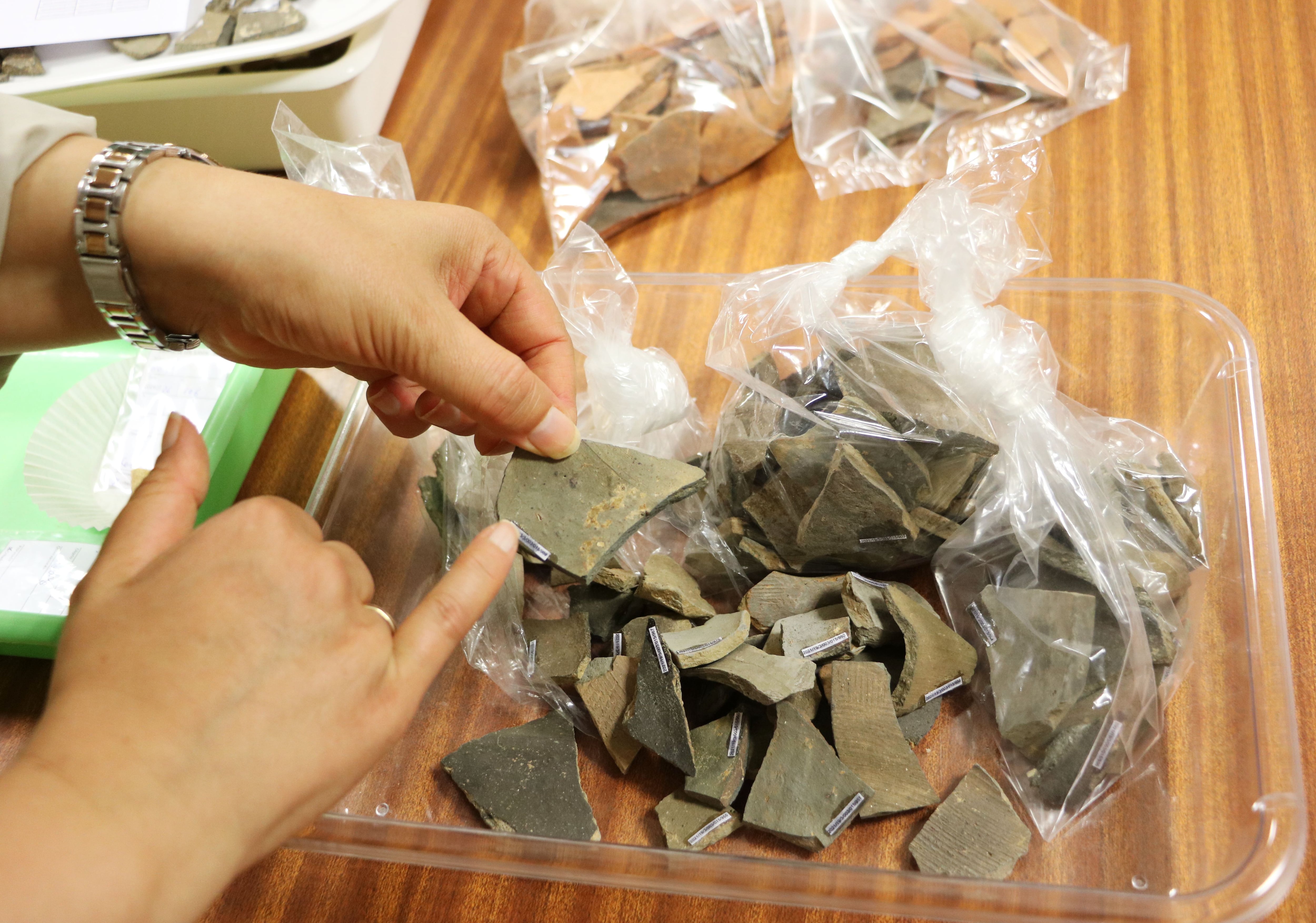 Imagen de algunos de los restos encontrados en las excavaciones de Puente Castro este 2025