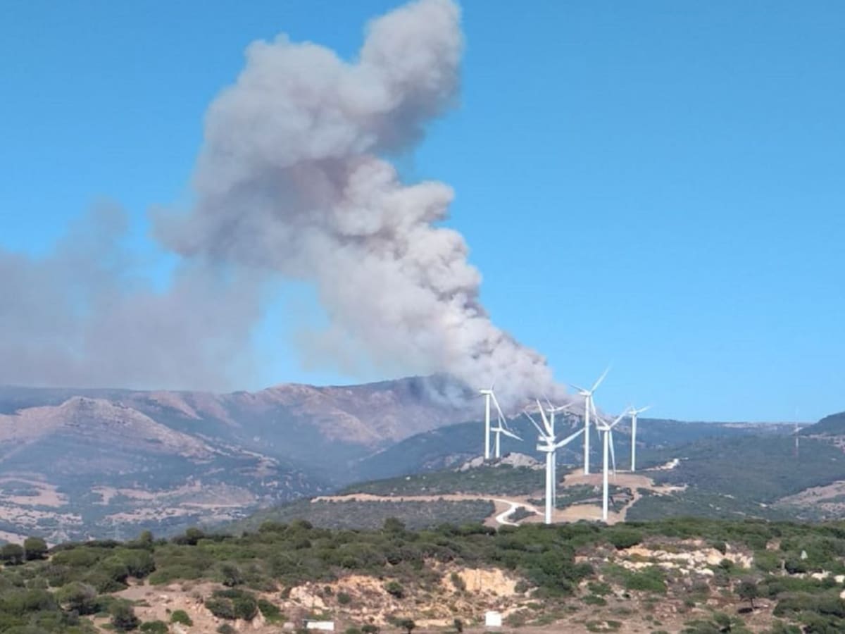 Extinguido el incendio en el Paraje del Tajo de las Escobas en Tarifa