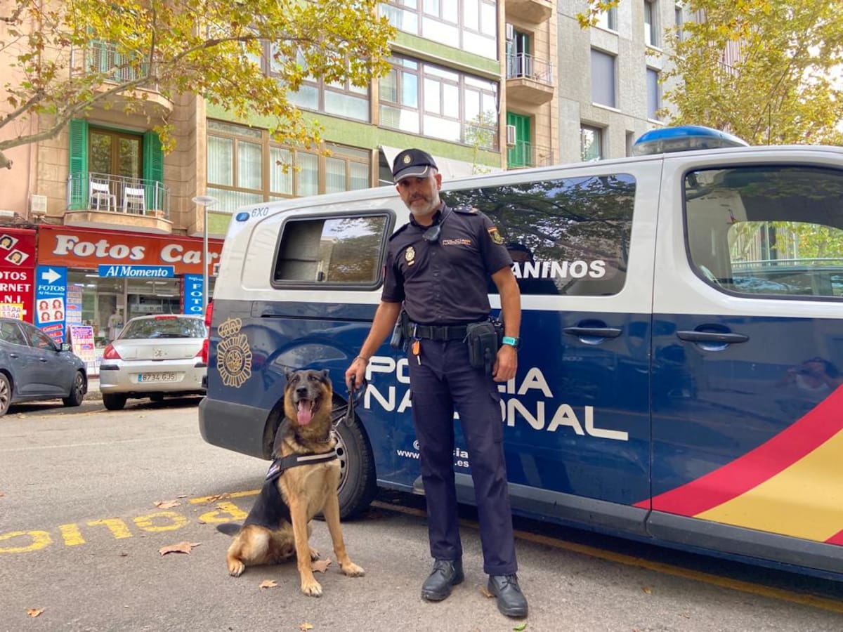 Reportaje sobre perros policía (15 de octubre)