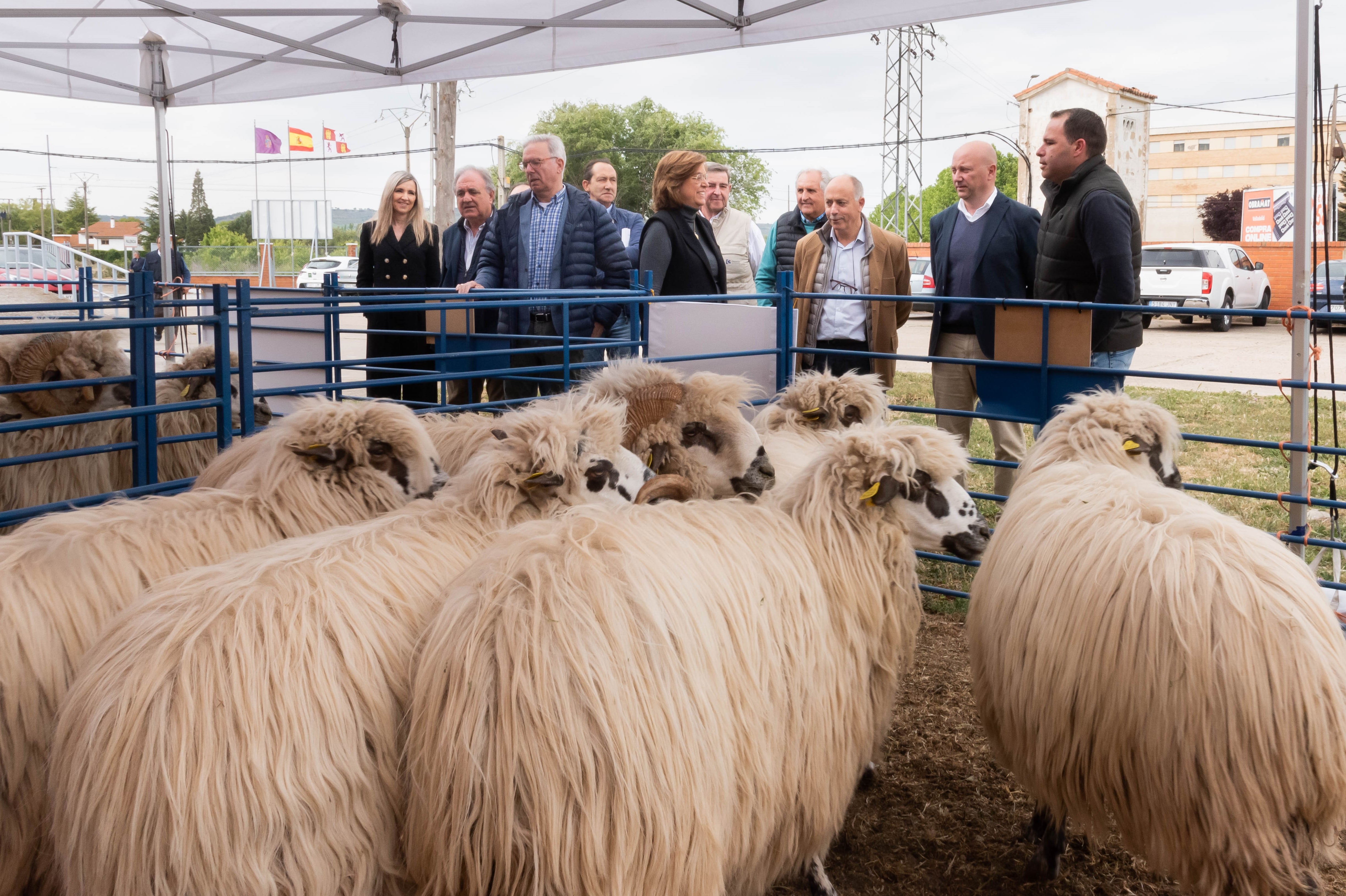 Imagen de archivo de la Feria Churra 2023