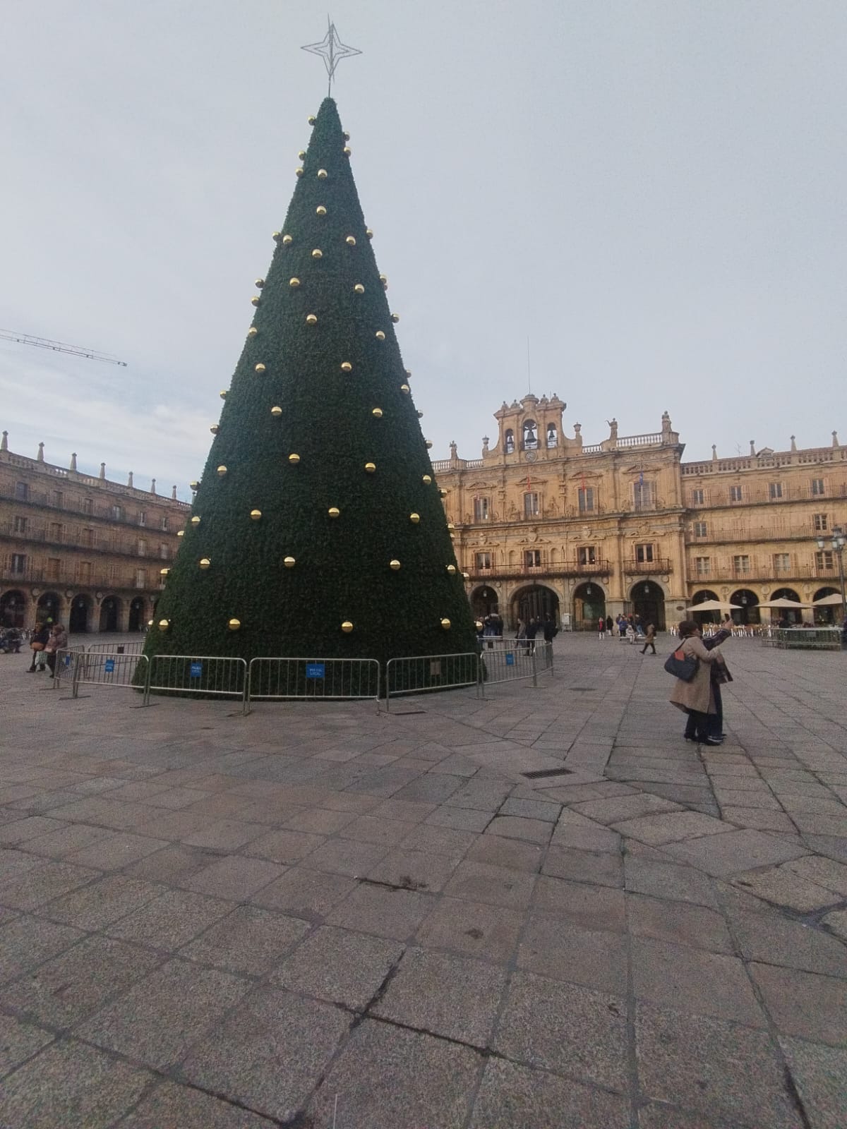 El árbol de Navidad que engalana la Plaza Mayor de Salamanca/Cadena SER