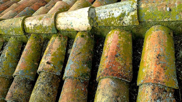 Arquitectura y Patrimonio Leonés - Elogio de la teja (14/01/2021)