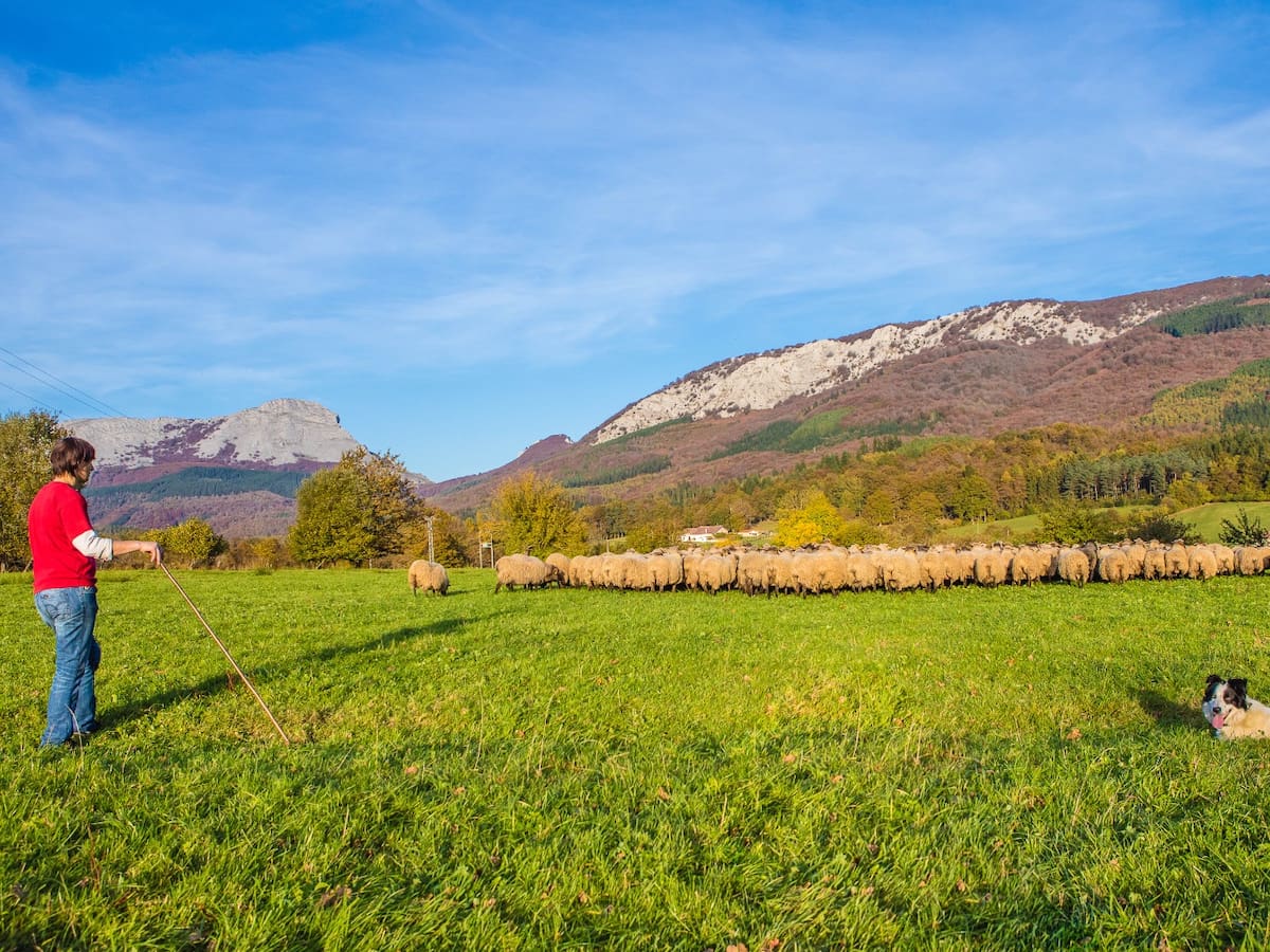 Los tesoros de Gorbeialdea