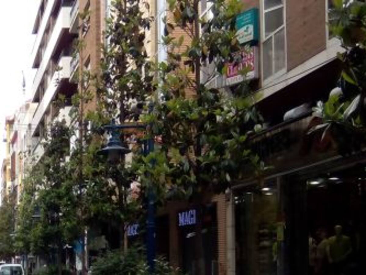 La policía de Talavera pone en marcha el operativo de Navidad