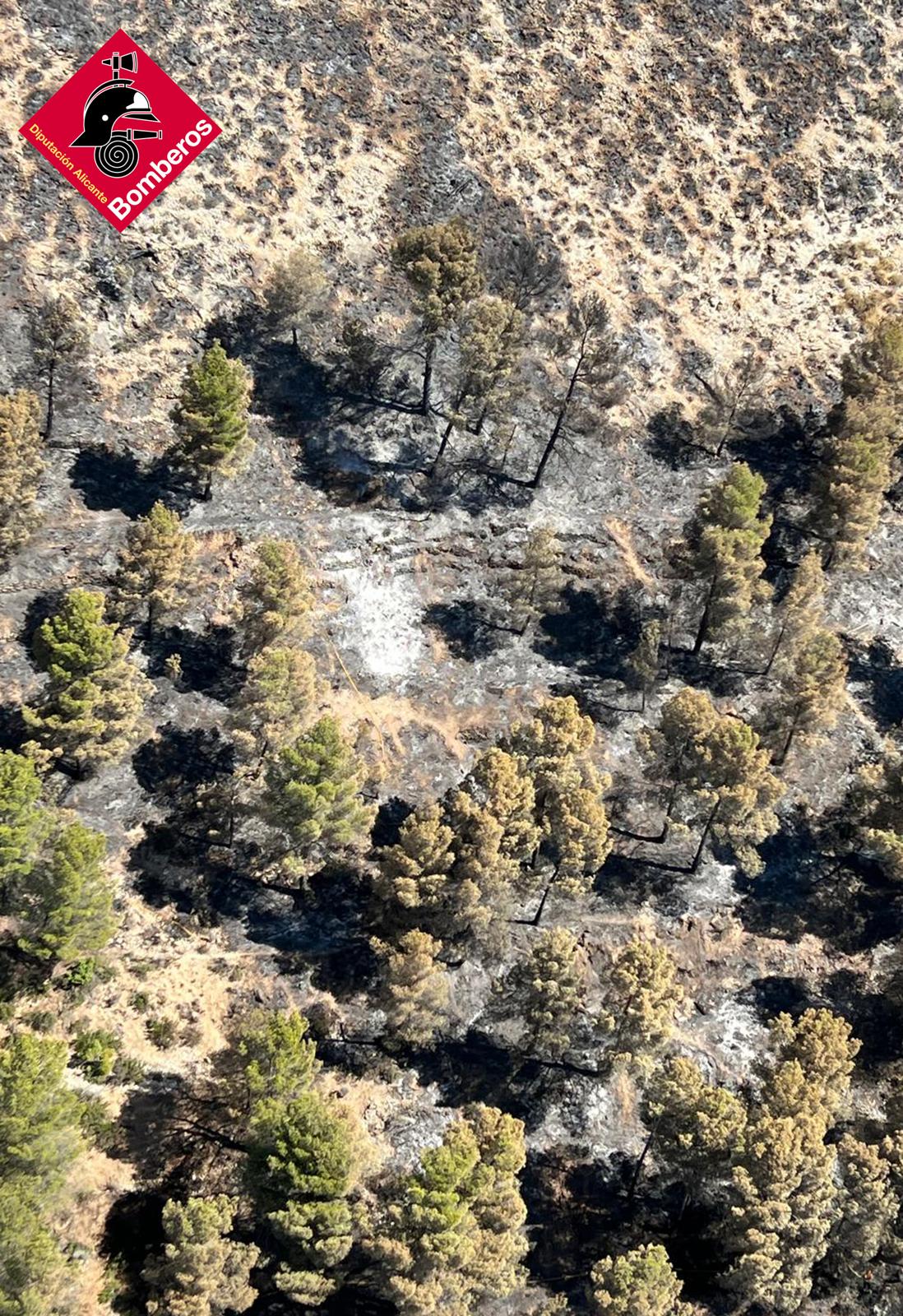 Una vista del área quemada en el incendio de Ibi.