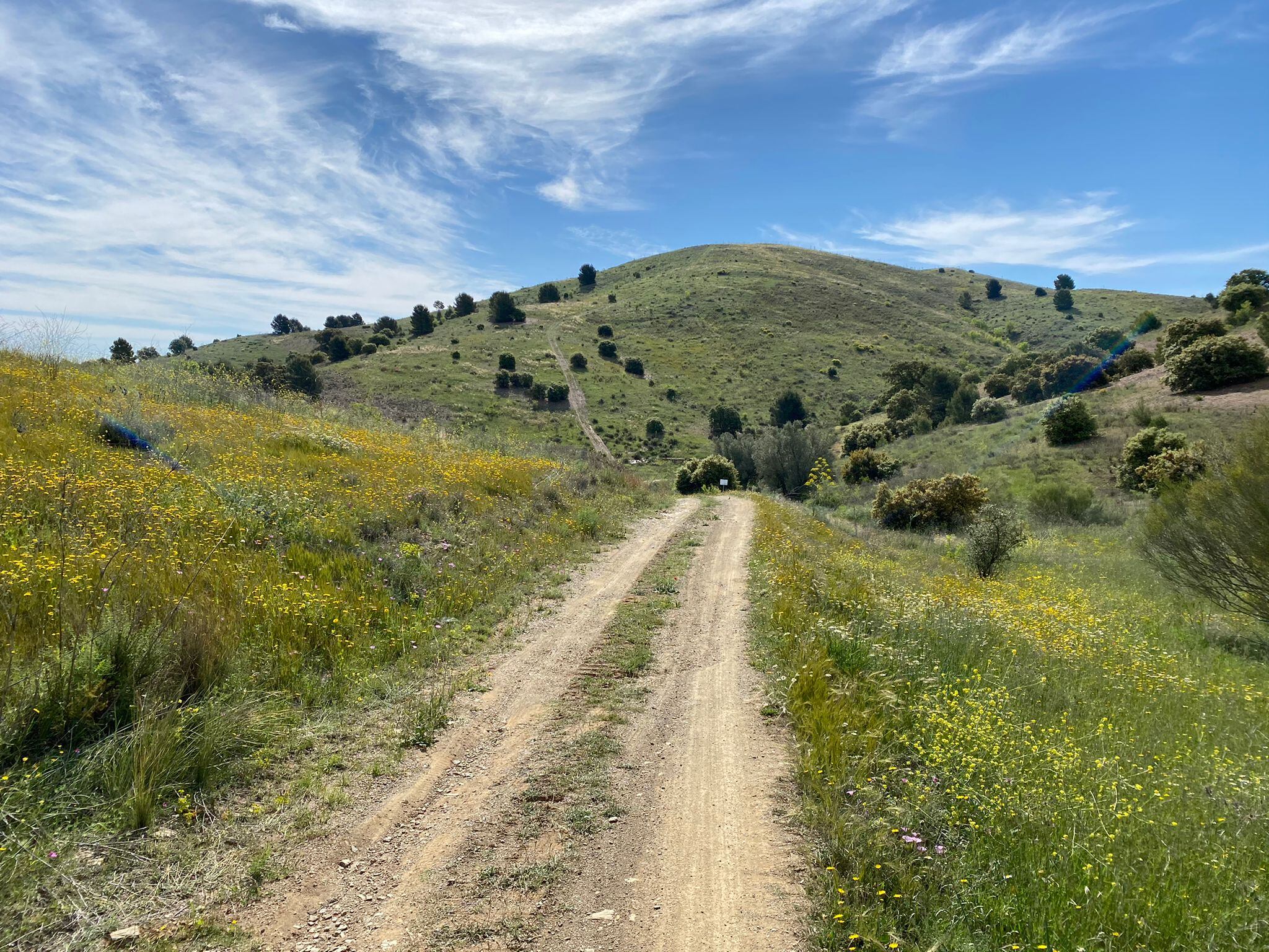 “Caminos del Sol”, una nueva oferta de turismo deportivo en las pedanías de Lorca. Imagen: Paisaje de Jarales (Lorca)