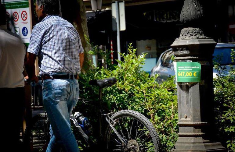 Iniciativa escolar a través de la concejalía de medio ambiente