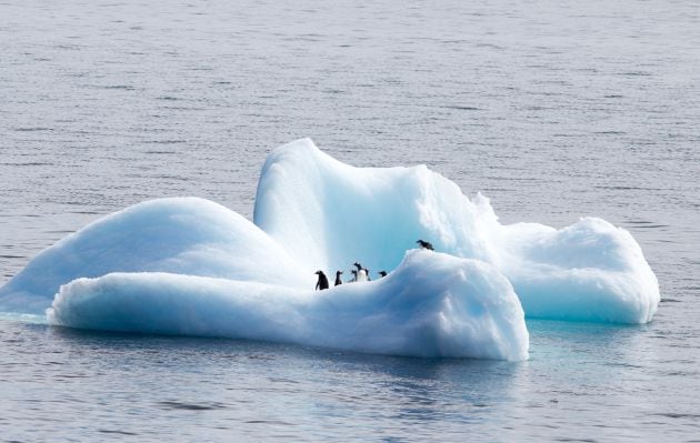 El deshielo de la Antártida es uno de los síntomas más evidentes del cambio climático.