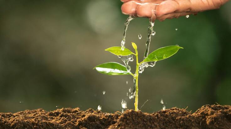 La Llavor (15-01-22)