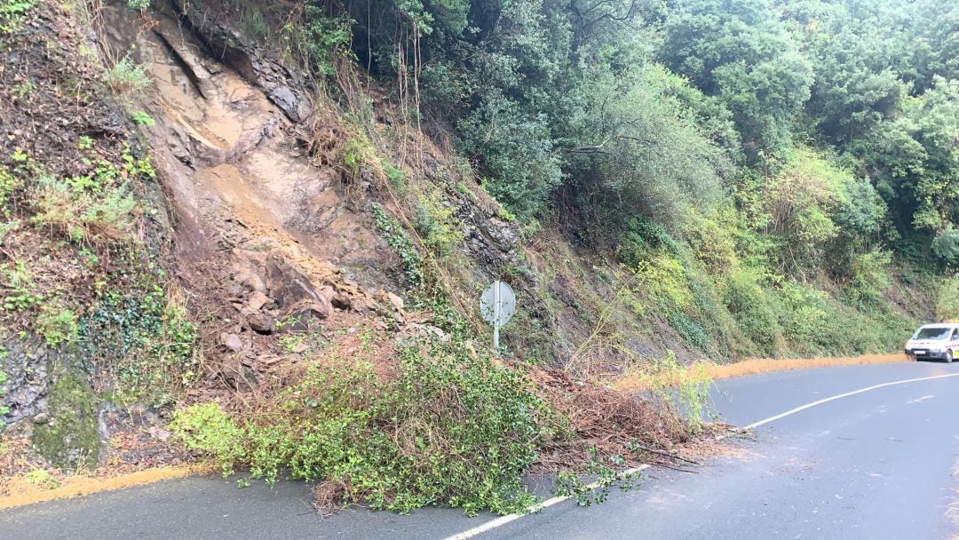 Un nuevo argayo en el Desfiladero de la Hermida obliga a cortar un carril 