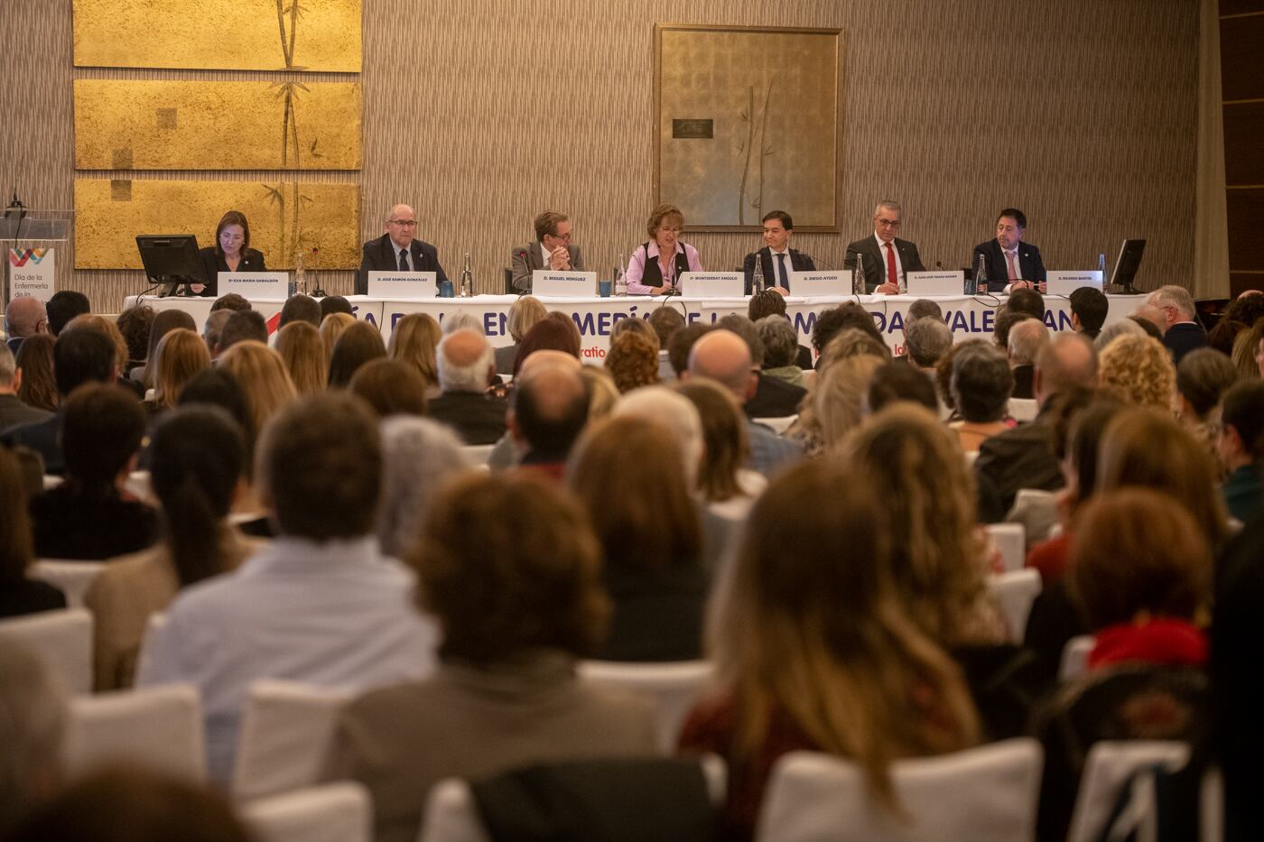 La mesa presidencial estuvo formada por (de izquierda a derecha): Eva María Gabaldón Bravo, vicedecana de Ordenación Académica del Grado de Enfermería de la Universidad de Alicante; José Ramón González González, concejal de Seguridad del Ayuntamiento de Alicante; Miguel Mínguez Pérez, conseller de Sanidad Universal y Salud Pública; Montserrat Angulo Perea, presidenta del Colegio de Enfermería de Alicante; Diego Ayuso Murillo, secretario general del Consejo General de Enfermería; Juan José Tirado Darder, presidente del Consejo de Enfermería de la Comunidad Valenciana, y Ricardo Martín Peñalver, vicedecano del Grado de Enfermería de la Universidad CEU Cardenal Herrera de Elche.